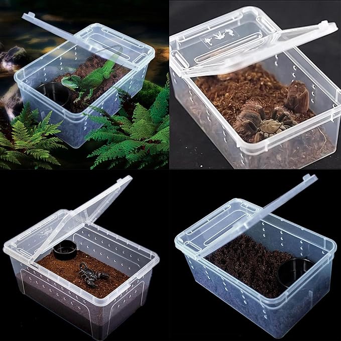Critter Keeper 2-Pack, Cricket Cage & Reptile Feeding Box 12.59"x8.66"x5.9" Transparent Portable Plastic Snake Habitat Escape-Proof Ventilated Design for Gecko, Tarantula, Scorpion, Spider, Frog