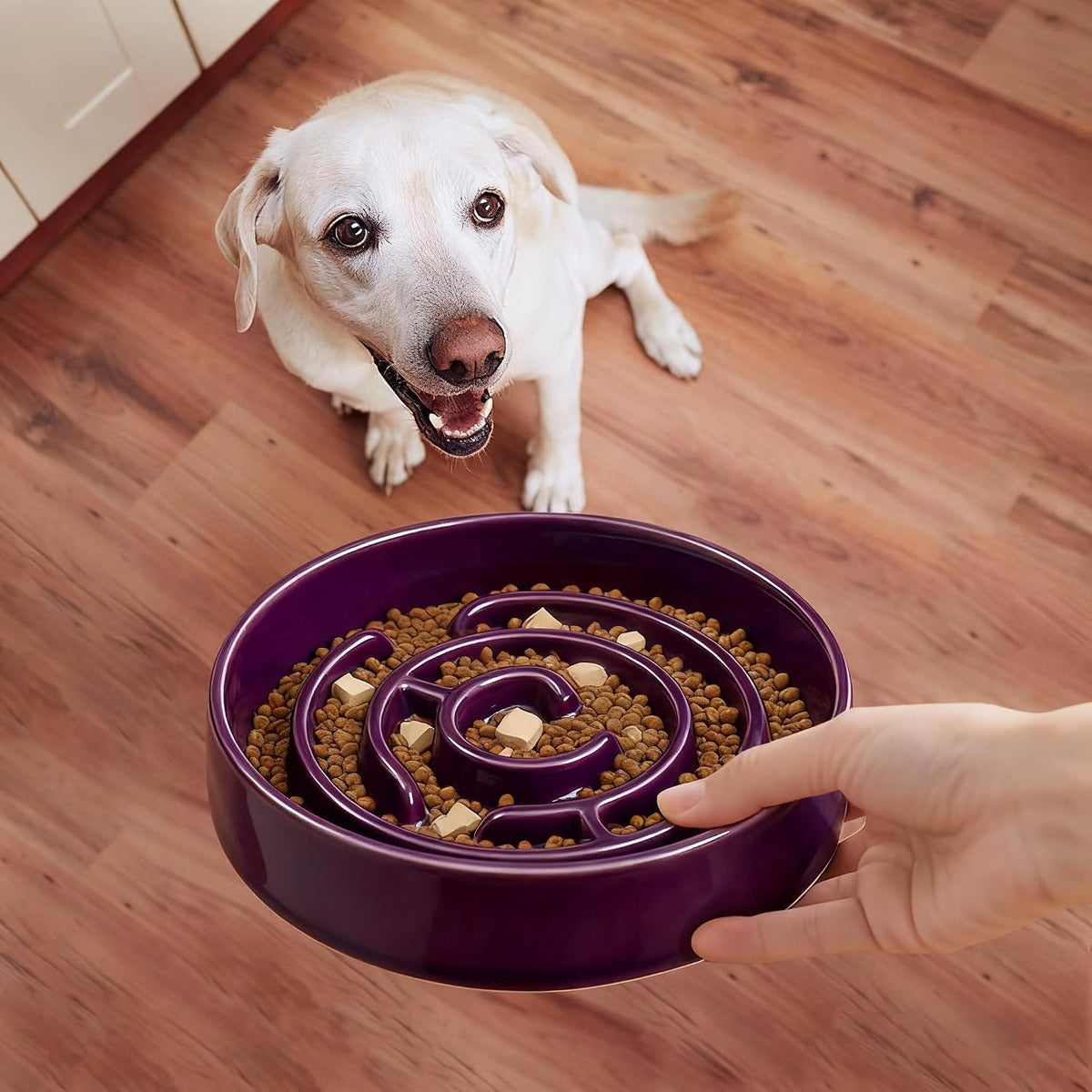 Ceramic Slow Feeder Dog Bowl - Purple - image 3