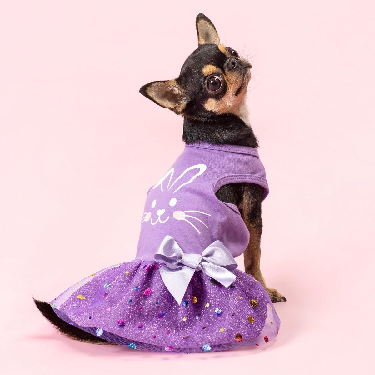 Fitwarm Halloween Skeleton Dog Dress - XX-Small / Bunny - image 4