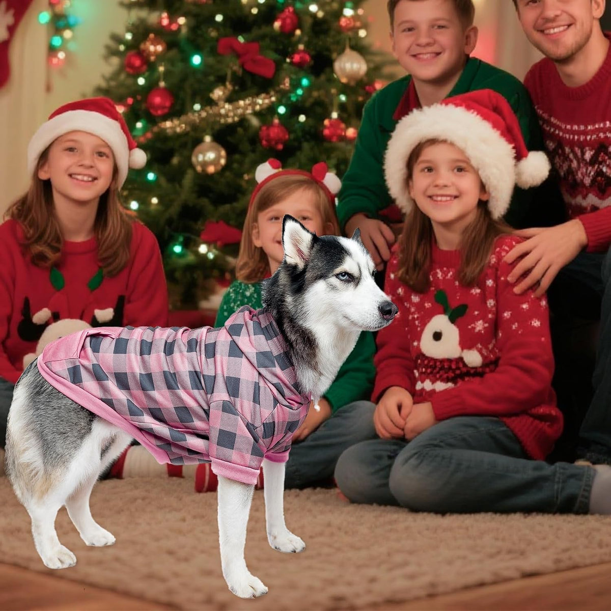 Plaid Dog Hoodie Pet Clothes Sweater with Hat and Pocket for Small - Pink / Large (Pack of 1) - image 2