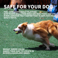 All for Paws Interactive Hyper Fetch Super Bounce Tennis Balls Dog Toy - Ball*6(2.5 inch) - image 3