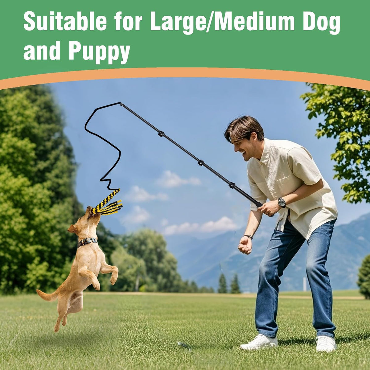 Flirt Pole for Dogs Heavy Duty 40inch Extendable Aluminum Alloy Dog - 48.8in/4-section - image 4