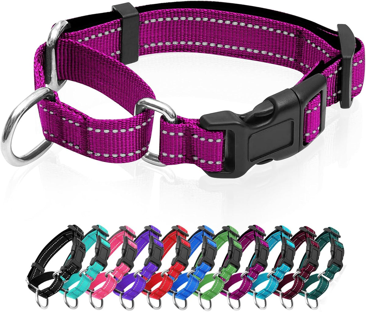 Reflective Martingale Dog Collars. Dog Collar with Quick Release - M:1" Wide for 14.5"-19.5" Neck / Rose Red