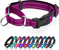Reflective Martingale Dog Collars. Dog Collar with Quick Release - M:1" Wide for 14.5"-19.5" Neck / Rose Red