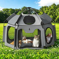 Catio Outdoor Cat Enclosure