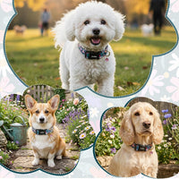 Medium Dog Collars for Male Dogs - Dark Night Purple Floral / S - image 4