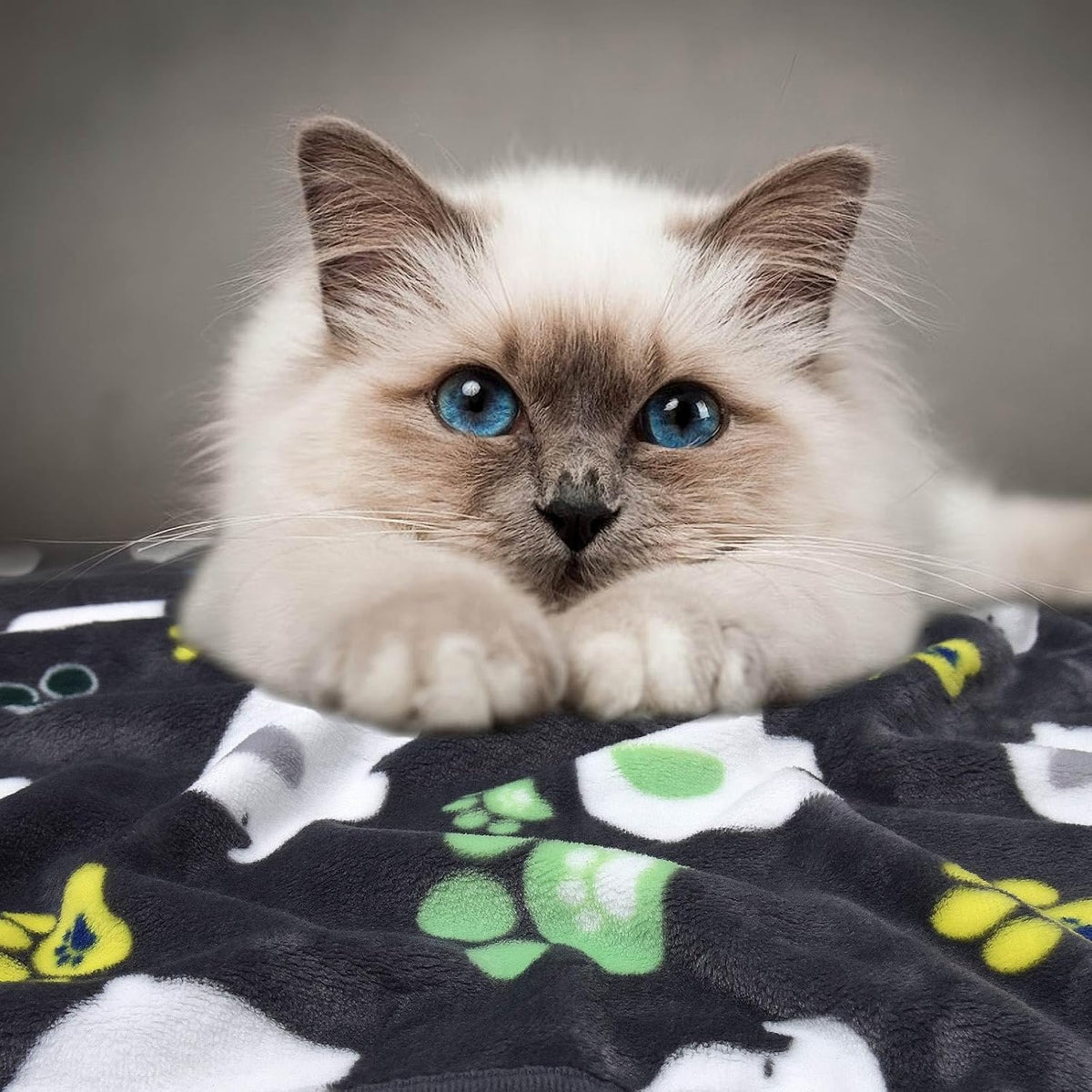 Rezutan Blanket for Large Dogs & Cats Soft Reversible Cute Paw 40"x31" – Essentials for Dogs - Grey/Blue/Yellow / Small,23x16Inch - image 2