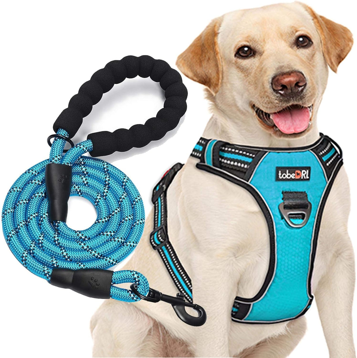 tobeDRI No Pull Dog Harness Adjustable Reflective Oxford Easy Control - Blue / Large