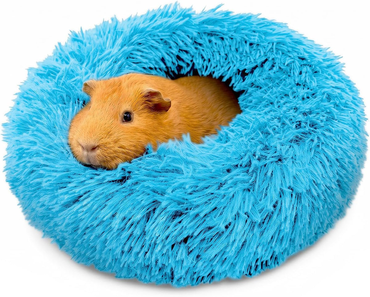 Paw Inspired Furr-O Burrowing Pet Bed Enrichment, Removable Base - Blue