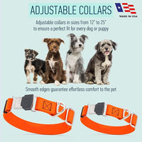 Dogline Biothane Waterproof Dog Collar with Herm Sprenger Black Stainless Steel Quick Release Buckle – Heavy Duty Tactical Durable Collar for Dogs – Comfortable and Safe Pet Collar, W 3/4" L 12-19"