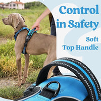 rabbitgoo Dog Harness Medium Sized, No Pull Pet Harness with 3 Buckles, Adjustable Soft Padded Vest with Control Handle, Walking Reflective Pet Vest for Medium Dogs, Sky Blue, M