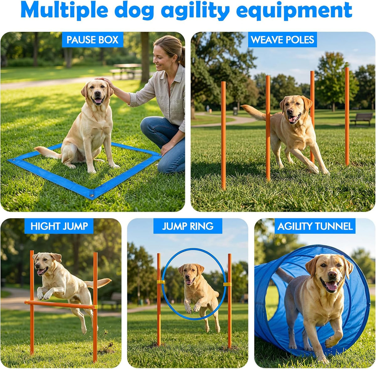 XiaZ Dog Agility Course Backyard Set - image 4
