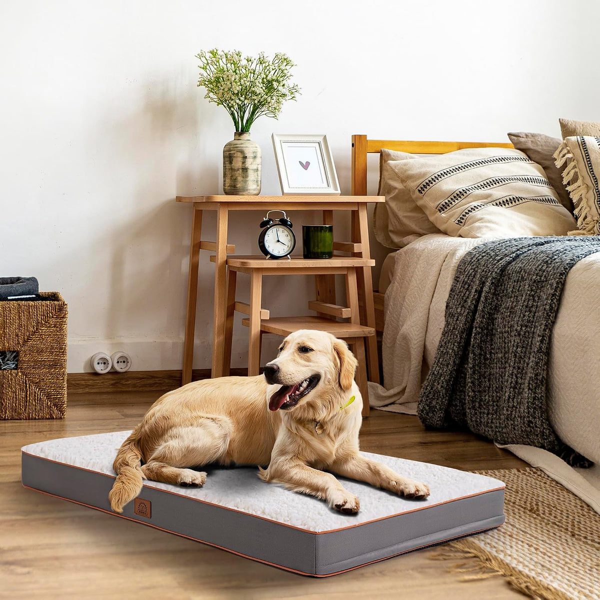 Washable Orthopedic Large Dog Bed with Removable Cover - Light Grey / 41.0"L x 27.0"W x 3.0"Th