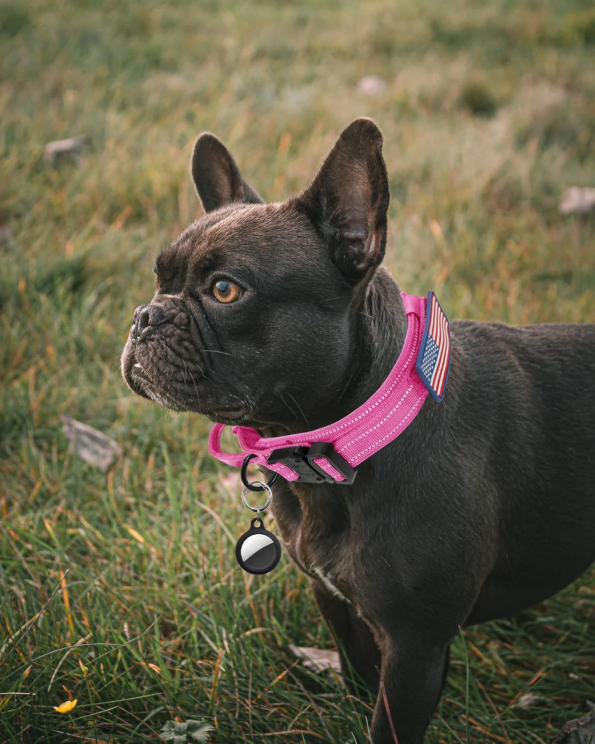 AUBELL reflective tactical dog collar with control handle and metal buckle - view 2