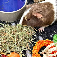 Blue Mountain Hay | Fresh Organic Meadow Hay (15 Ounce) | Mimics Natural Forage | High-Altitude Hay Pet Food for Rabbits, Guinea Pigs, Chinchillas, Hamsters, and Other Small Pets