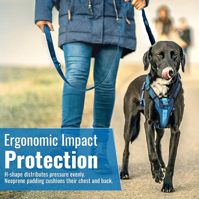 No-Pull Dog Harness with Handle - Escape Proof, Anti-Pulling, Grip Control, Multi-Angle Reflective for Safe Walks & Training, Easy On & Off, Metal Buckle–Pet Harness, Medium/Large Dogs- H3- Orange