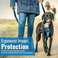 No-Pull Dog Harness with Handle - Escape Proof, Anti-Pulling, Grip Control, Multi-Angle Reflective for Safe Walks & Training, Easy On & Off, Metal Buckle–Pet Harness, Medium/Large Dogs- N H4- Blue