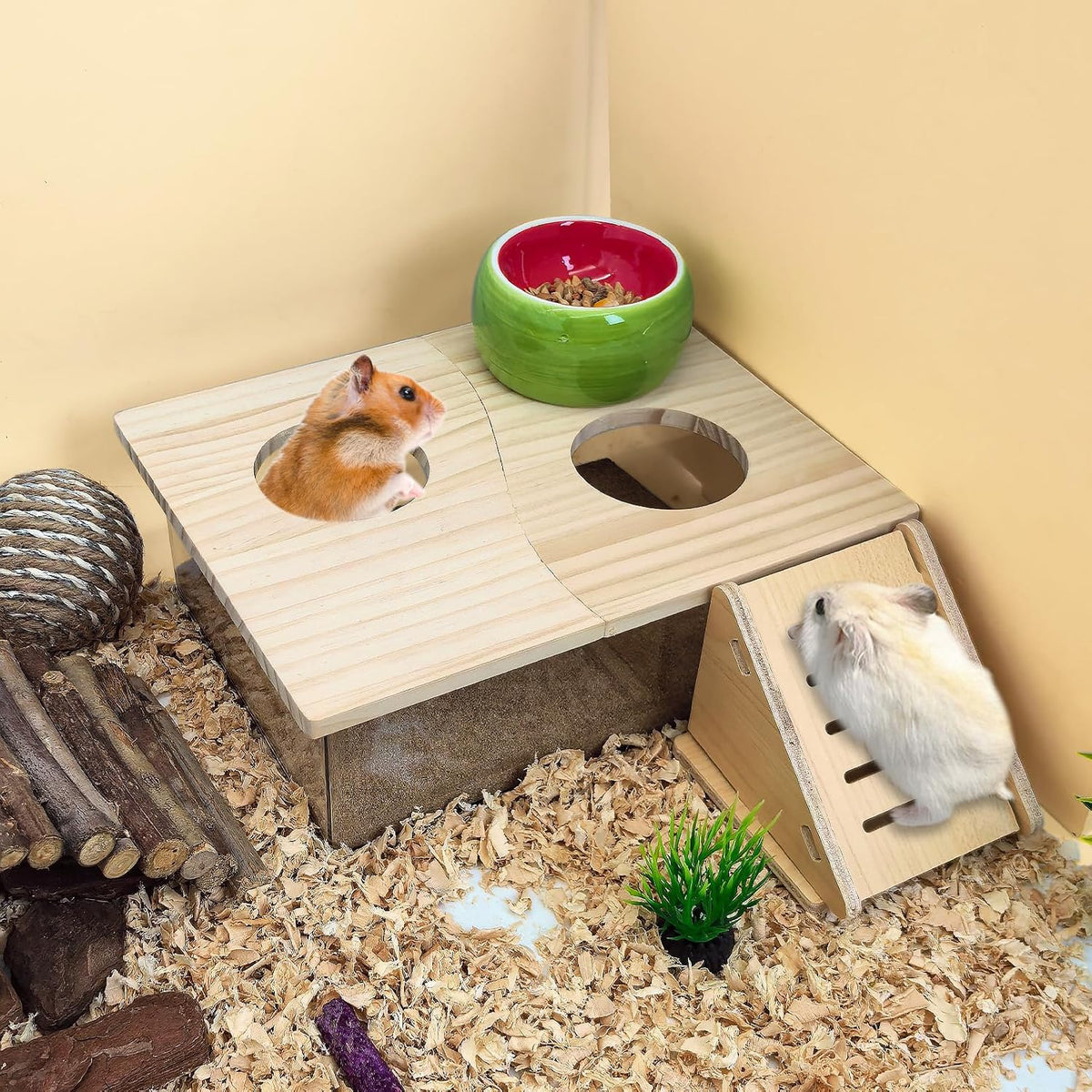 Extra Large Wood Hamster Sand Bath Box Small Animals Bathroom - With Two Hole - image 3