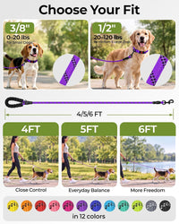 Taglory Rope Dog Leash for Medium Large Dogs - 3/8" x 6 FT (0~20 lbs.) / Purple - image 3