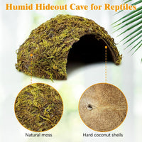 PINVNBY 2 PCS Natural Coconut Reptile Hideouts Lizard Coco Hut Hermit - Moss Surface / 2 PCS - image 2