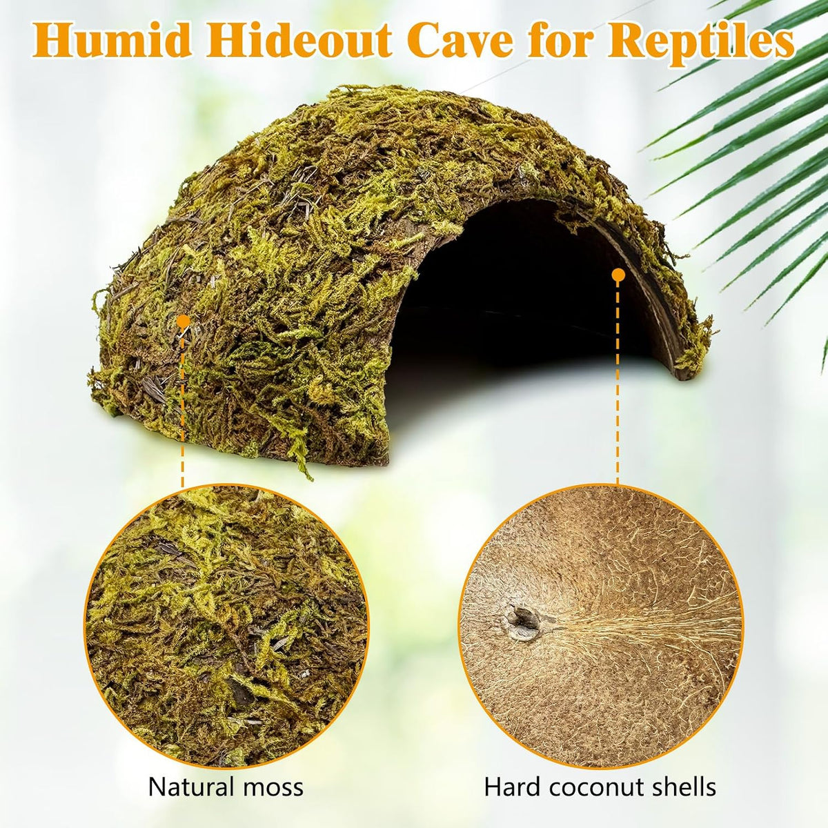 PINVNBY 2 PCS Natural Coconut Reptile Hideouts Lizard Coco Hut Hermit - Moss Surface / 2 PCS - image 2