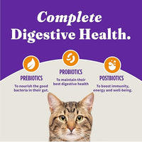 Halo Holistic Cage Free Chicken Cat Food, Grain Free Dry Cat Food, For Healthy Weight Support, Kibble for Indoor Cats, 6 lb Bag