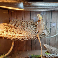 Reptile Hammock, Large Lizard Lounger - 【▲+■+▄+Green】 - image 3