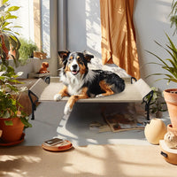 Veehoo Cooling Elevated Dog Bed - Beige Coffee / 47.0"L x 32.0"W x 12.0"Th - image 4