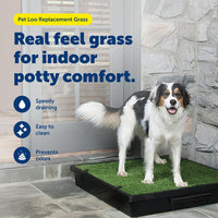 PetSafe Pet Loo Portable Pet Potty Replacement Grass - Large (Pack of 1) - image 2