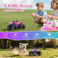 Amphibious Remote Control Car - Pink - image 3