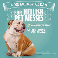 ANGRY ORANGE Pet Stain Remover for Dog Urine and Stains - Enzyme Cleaner - Citrus - Value 2 pack