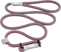 Cesar Millan Slip Lead Leash, Dog Leash, in Training Leash - Regular / Blue/Orange