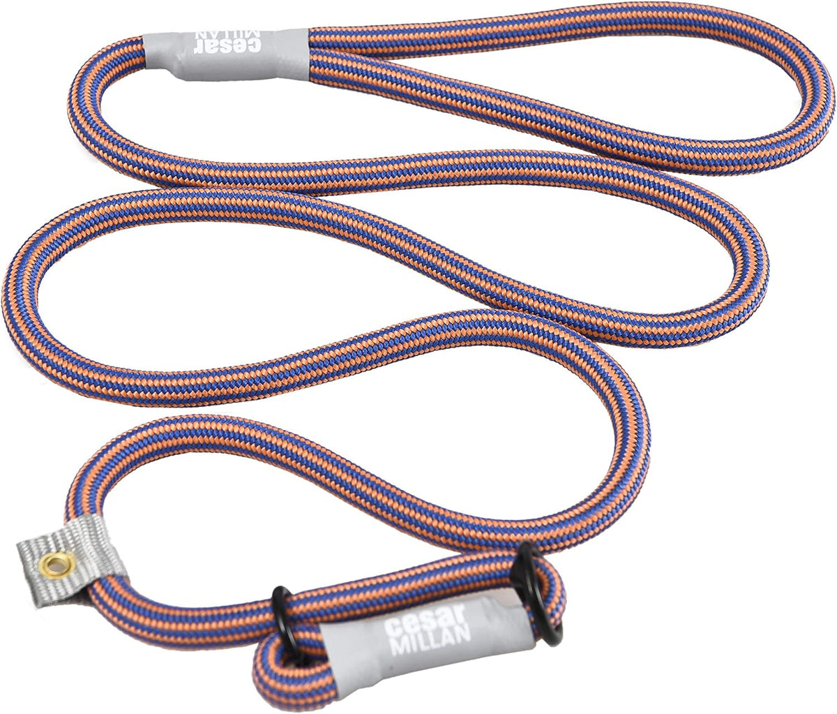 Cesar Millan Slip Lead Leash, Dog Leash, in Training Leash - Regular / Blue/Orange