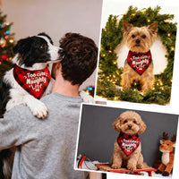Halloween Dog Bandanas with No Tricks Sign - Red Plaid - Too Cute for the Naughty List / X-Large - image 4