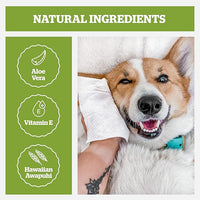Pogi’s Dog Grooming Wipes – Hypoallergenic Pet Wipes for Paws, Body & Butt – Cleaning & Hydrating, Fragrance Free, 100-Count
