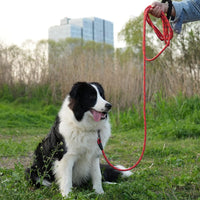 Heavy Duty Dog Leash, 15FT Training Leash with Swivel Lockable Hook, Padded Handle and Highly - 100ft*1/3" / Red - image 2