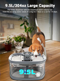 Kastty 2.5Gal/9.5L Dog Water Fountain Extra Large Pet Water Fountain - Grey - image 2