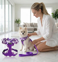 SuperBuddy Upgraded Soft Mesh Dog Harness - L (Neck Girth 15"; Chest Girth: 18.1"-24") / Purple-2 - image 4
