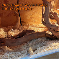 5PCS Driftwood for Aquarium 7-9in Natural Reptile Spider Wood - Large:spiderwood 7-10in 2PCS - image 3