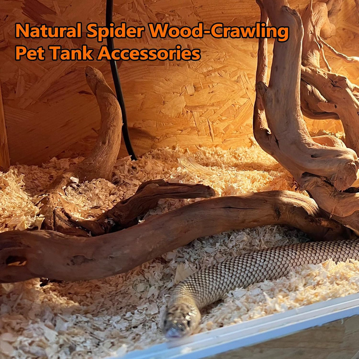 5PCS Driftwood for Aquarium 7-9in Natural Reptile Spider Wood - Large:spiderwood 7-10in 2PCS - image 3