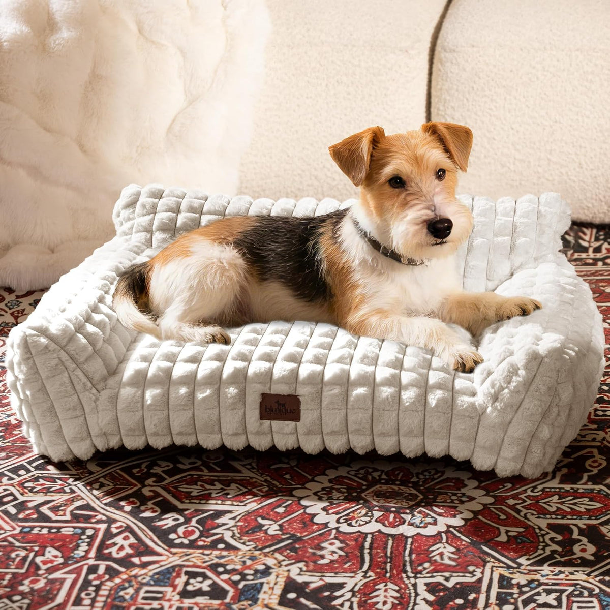 Cat Couch Bed with Fluffy Faux Rabbit Fur for Indoor Cats - Off White / Medium: 30"L x 20"W x 10"Th