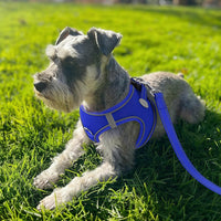 Joytale Step-in Dog Harness, Soft Breathable Mesh, Black S – Essentials for Dogs - XXS--Chest: 12-13.5'' / NavyBlue - image 2