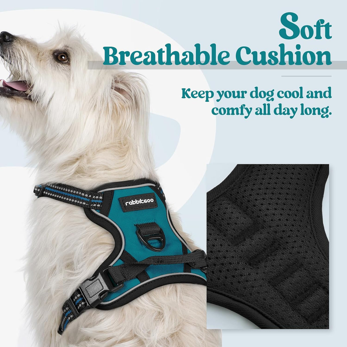 rabbitgoo Dog Harness, No Pull for Large Dogs with 2 Leash Clips - X-Small / Blue Coral - image 2