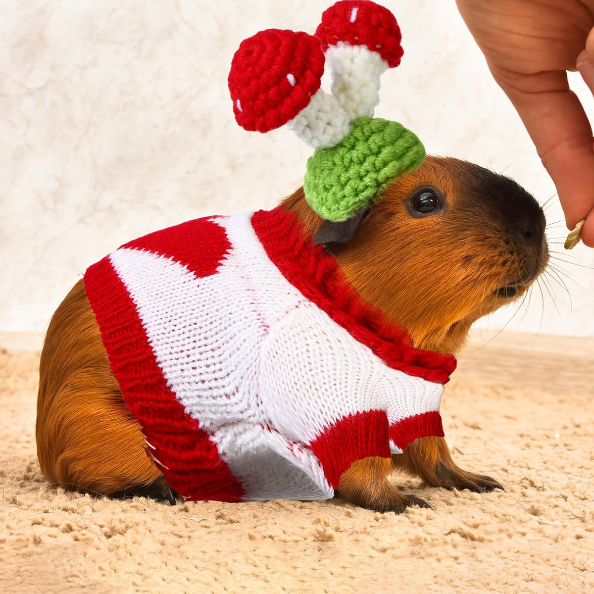 Clysee 10-piece guinea pig clothes set with flannel vests and knitted mini hats - view 15