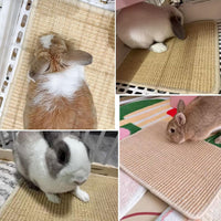 2PCS Rabbit Scratch Mat, Natural Bunny Pad Claws and Teeth Care - Natural 4pcs / 16"x12" - image 4