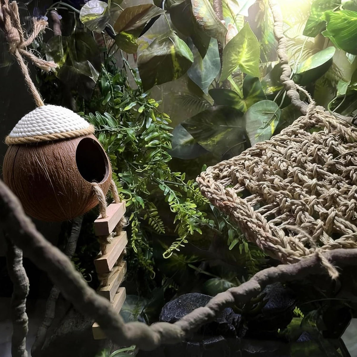 Leopard Gecko Coconut Hut with Ladder - 【Style D】 - image 2