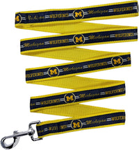 NCAA PET String, Dog String - Small / Michigan Wolverines