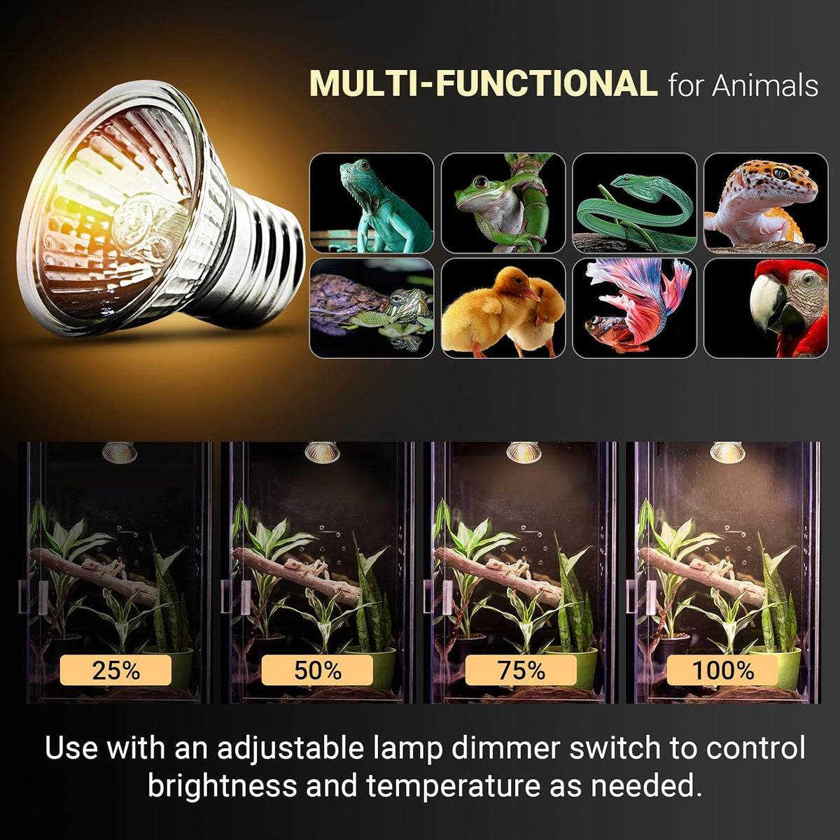 CALPALMY 4-Pack 50W UVA+UVB Bulbs - 50.0 Watts - image 4