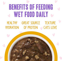 Weruva B.F.F. OMG - Best Feline Friend Oh My Gravy!, Tuna & Turkey Tickles with Tuna & Turkey in Gravy Cat Food, 3oz Pouch (Pack of 12)