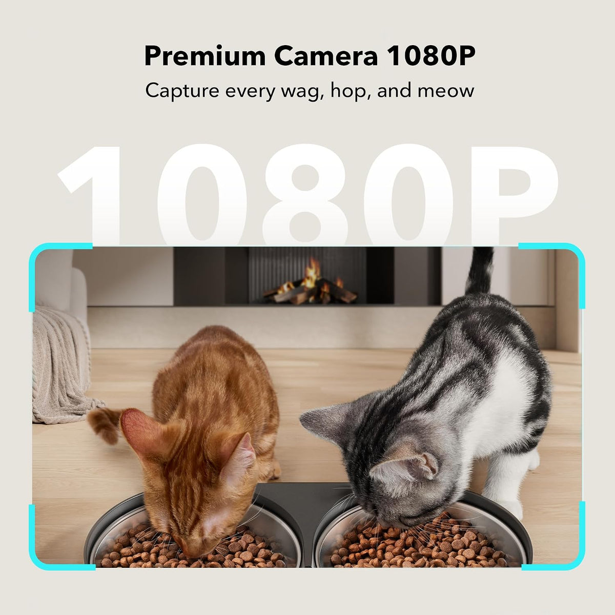 PETLIBRO Automatic Cat Feeder for 2 Cats - Black / 5L (With Camera) - image 2